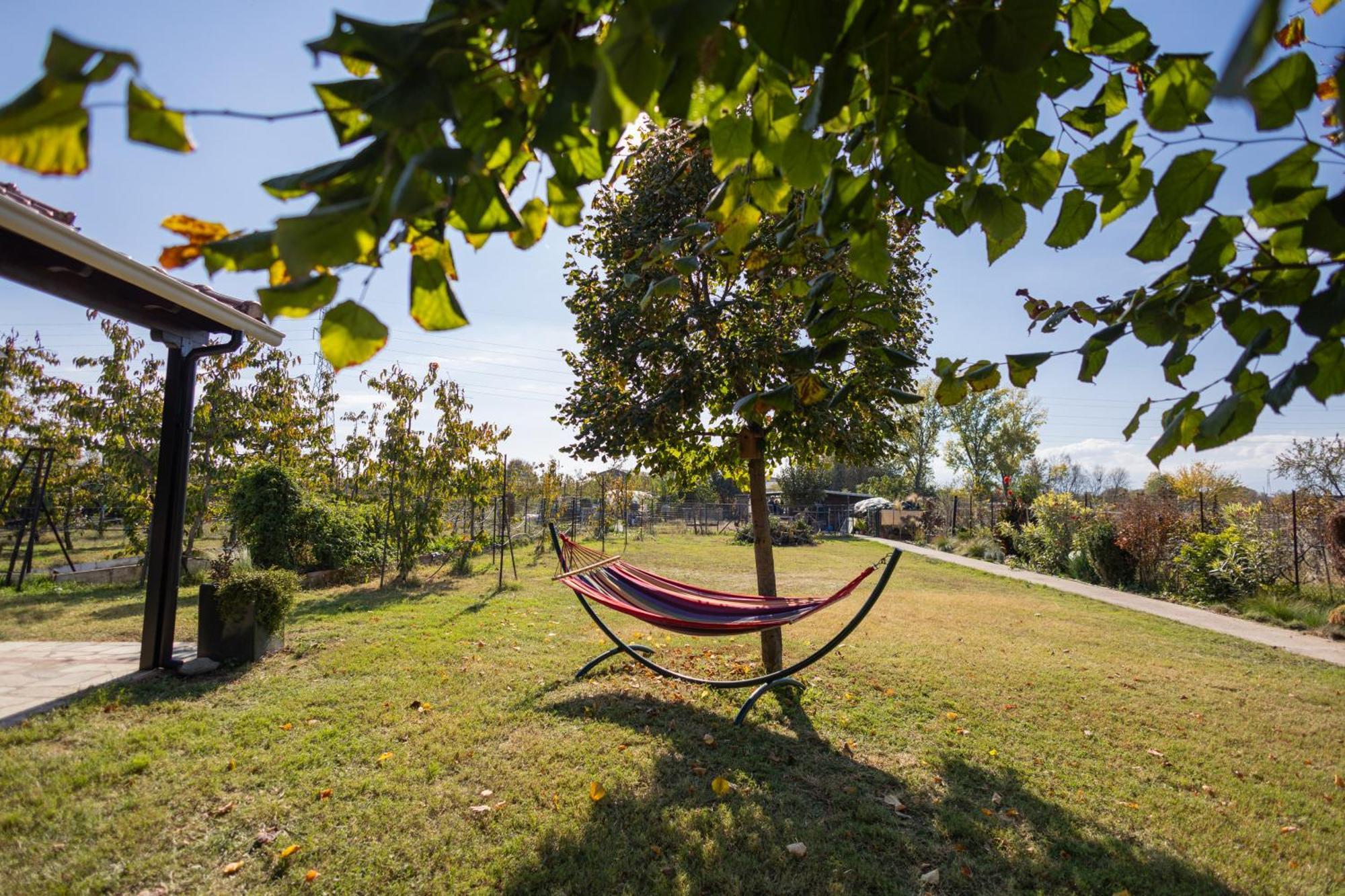 The Hobbit Hole Villa Trikala  Exterior photo